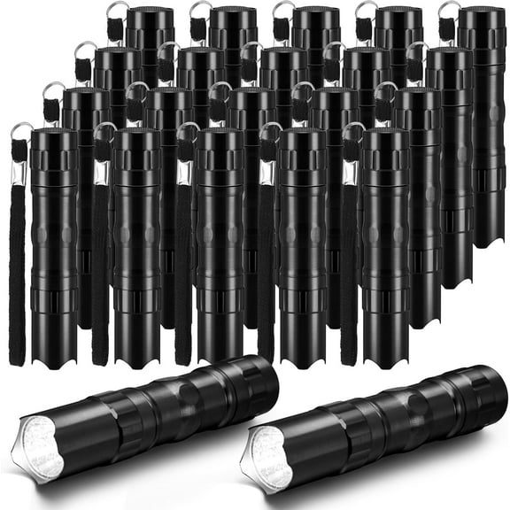 BlinkLLX 20 Pcs Mini Flashlights Bulk Bright Aluminum LED Handheld Torches with Lanyard Small LED Flashlights for Night Reading Emergency Hurricane Camping Hiking Party Favors (Black)