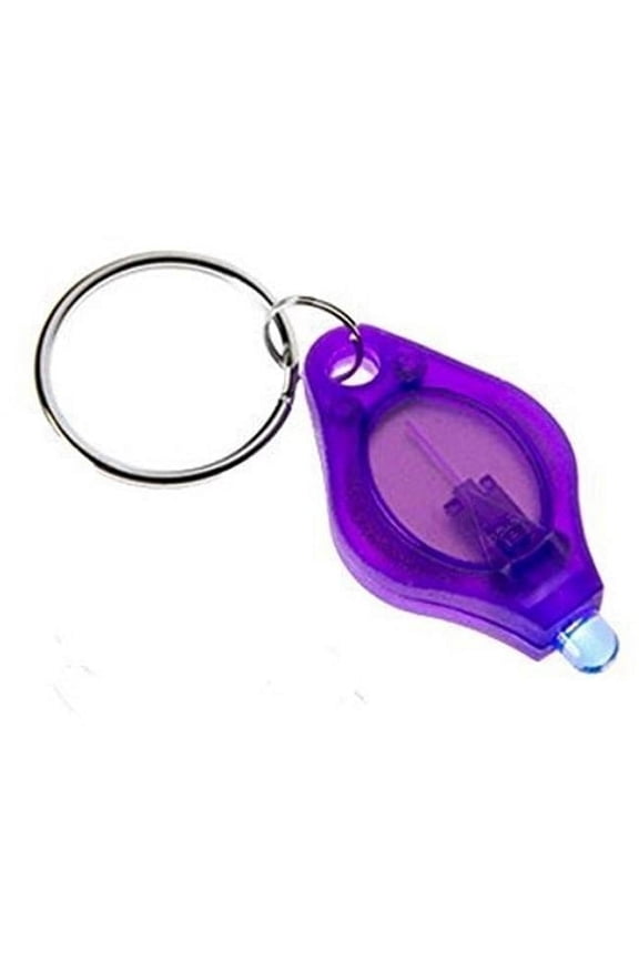 845500 Black Light LED Light Keychain Flashlight