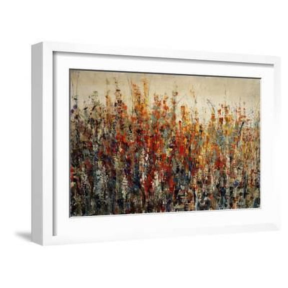 Bliss Buds, Botanical Framed Art Print Wall Art by Tim O'toole Sold by Art.Com
