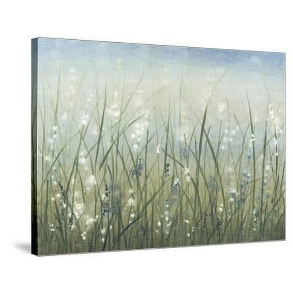Bliss I, Botanical Stretched Canvas Wall Art by Tim O'toole Sold by Art.Com