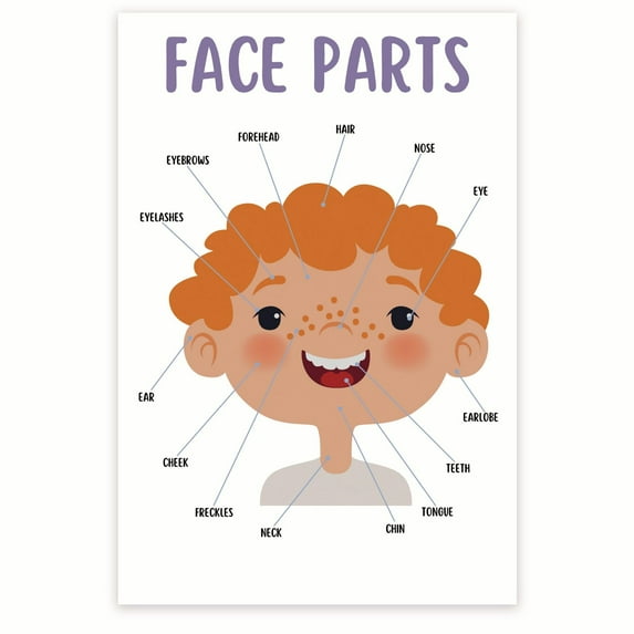 Bliss Monkey Co. Face Parts for Kids Poster - Face Anatomy - Facial Parts Poster - Facial Structure Poster 12 x 18 Inch Poster - Unframed - Premium 100lb Gloss - Made In USA - BMCP0426