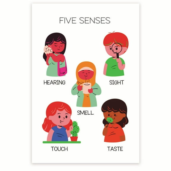 Bliss Monkey Co. Five Sense Diagram Poster - Sensory System Chart - Visual Learning Tool - Science Education 12 x 18 Inch Poster - Unframed - Premium 100lb Gloss - Made In USA - BMCP0371