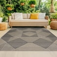 thumbnail image 1 of Bliss Rugs Bailey Transitional 5' x 7' Black and Natural Indoor Outdoor Area Rug, 1 of 8