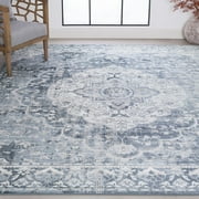 Bliss Rugs Vintage Traditional Medallion Area Rug, Indoor Rugs for Living Room, Dining Room, Bedroom | Blue, 8 x 10 710x102