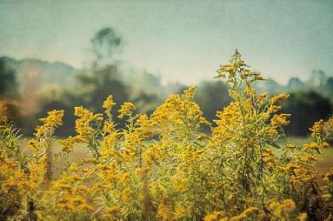 Blissful Country IV Canvas Art - Elizabeth Urquhart (12 x 18)