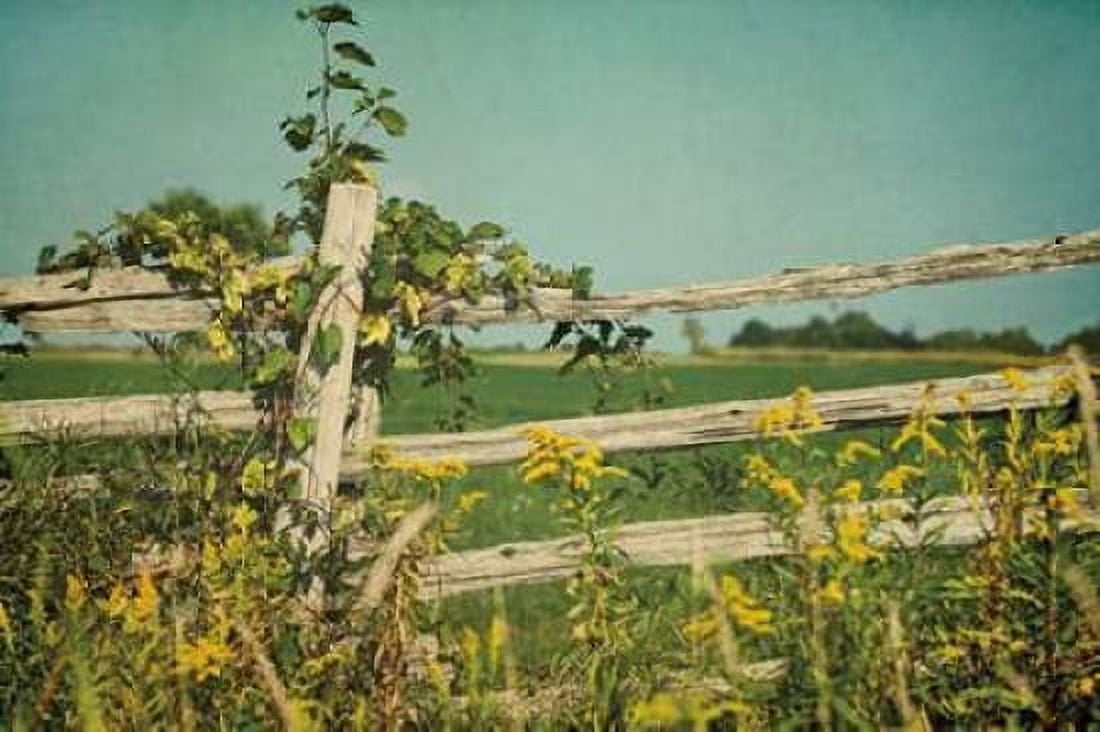 Blissful Country V Canvas Art - Elizabeth Urquhart (12 x 18)