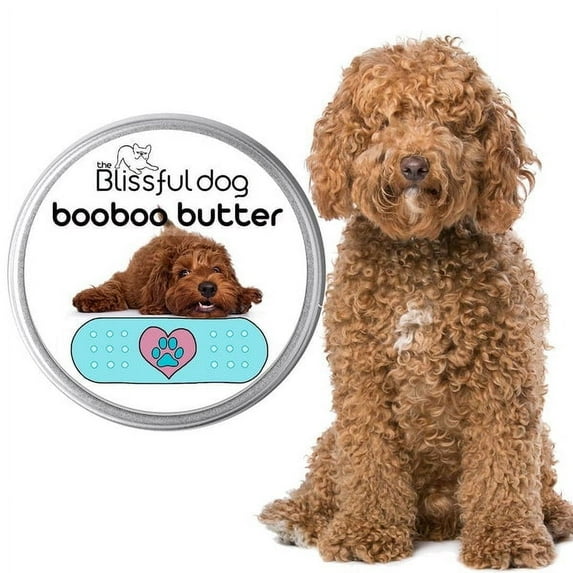 The Blissful Dog® Boo Boo Butter I All-Purpose Balm for Scratches, Scrapes and Skin Irritations I All Natural I Veterinarian Recommended I 1-Ounce Tin