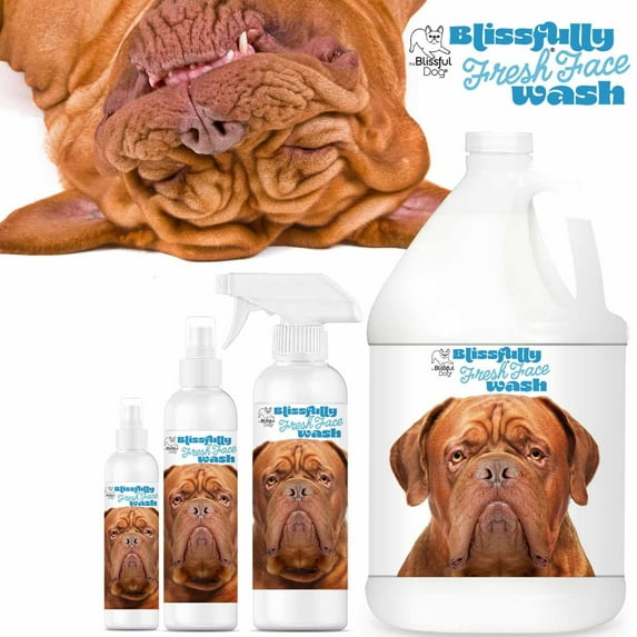 The Blissful Dog Dogue de Bordeaux Blissfully Fresh Face Wash for Cleaning Tear Stains, Flat-Faces, Beards, Ear Fringes, Jowls and More I Alcohol & Irritation Free I 8-Ounce Spray Bottle