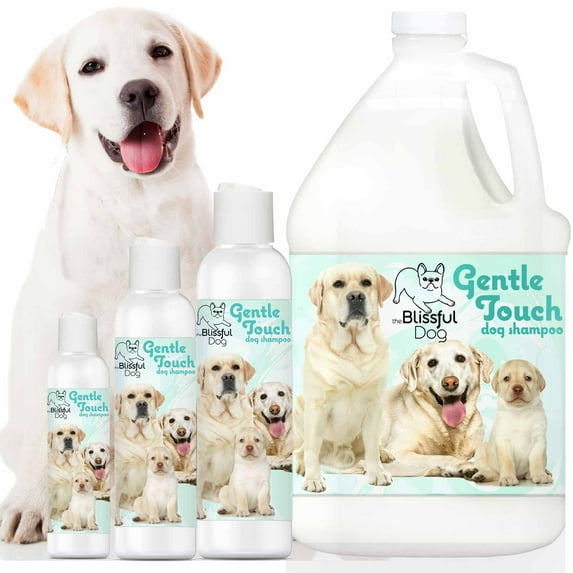 The Blissful Dog Gentle Touch Dog Shampoo for Cleansing Dog Coats I All Ages and All Stages, From Puppy to Senior Dog I Hypo-allergenic I Tearless I Alcohol & Irritation Free I 8-Ounce Bottle