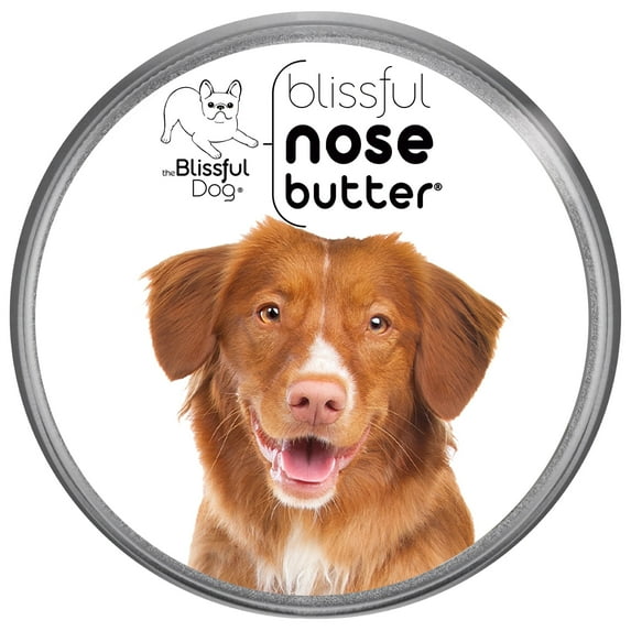 The Blissful Dog® Nose Butter® I Softens, Moisturizes & Conditions Dry, Cracked & Crusty Dog Noses I The Original Nose Butter® I All Natural I Veterinarian Recommended I 4-Ounce Tin