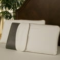 thumbnail image 1 of Blissful Nights Bamboo Charcoal Visco Medium Memory Foam Pillow, 1 of 2