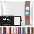 thumbnail image 1 of Blissy 100% Mulberry Silk Pillowcase for Hair and Skin, 22 Momme Grade 6A Silk Pillow Case with Hidden Zipper, Standard, White, 1 of 8