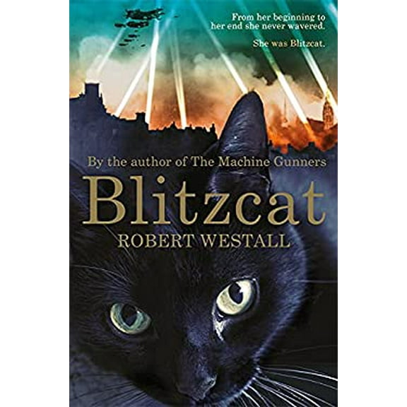 Pre-Owned Blitzcat (Paperback) 1447284607 9781447284604