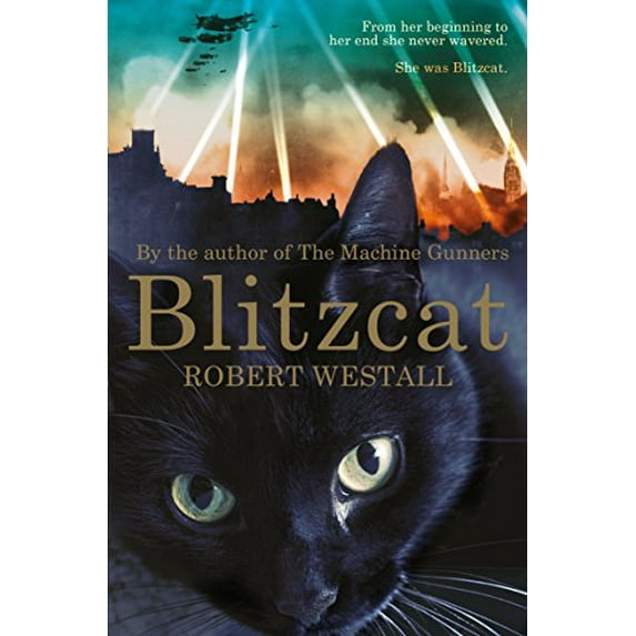 Pre-Owned Blitzcat (Paperback) 1447284607 9781447284604