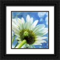 thumbnail image 1 of Blixt, Ingrid 15x15 Black Ornate Wood Framed with Double Matting Museum Art Print Titled - Daisies I, 1 of 4