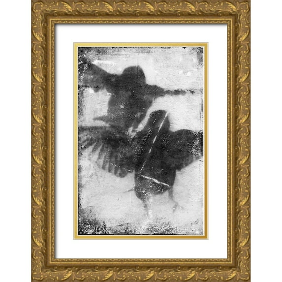 Blixt, Ingrid 23x32 Gold Ornate Wood Framed with Double Matting Museum Art Print Titled - B and W Flight VII