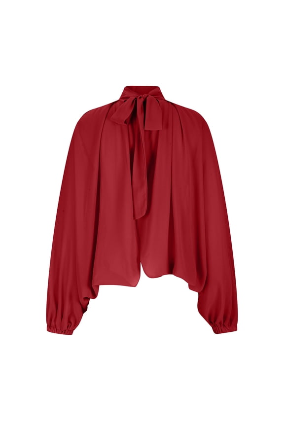 Womens Tshirts Chiffon Sheer Sexy Tshirts for Women Turtleneck Long Sleeve Blouses