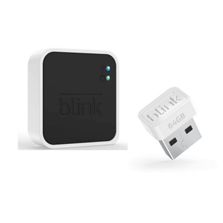 blink camera flash drive