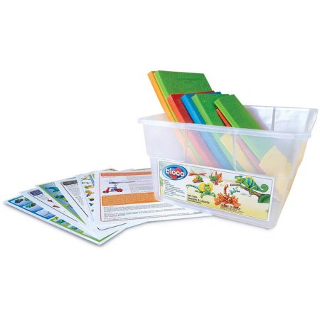Bloco Insects and Lizards Scholastic Set