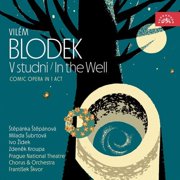 Blodek / Stepanova / Subrtova - Blodek V studni / In the Well - Music & Performance - CD