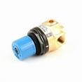 thumbnail image 1 of Blodgett 50657 2.35 in. 0-100 PSI Pressure Regulator, 1 of 1