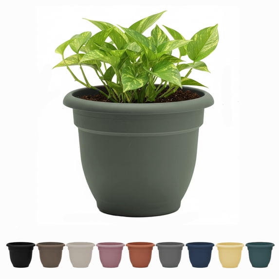 Bloem Ariana 12" Self-Watering Plastic Planter - Rolled Rim Indoor/Outdoor Garden Pot, Basil