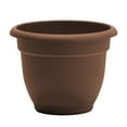 thumbnail image 1 of Bloem Ariana 10" Chocolate Round Self-Watering Resin Planter Pot - Rolled Rim Indoor and Outdoor Gardening Planter, 1 of 7