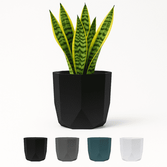 Bloem Collection