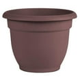 thumbnail image 1 of Bloem 100284 12 in. Ariana Self Watering Planter, Merlot Burgundy, 1 of 1
