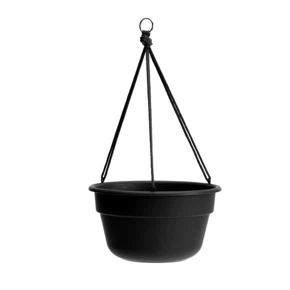 12 Inch Hanging Baskets Plants
