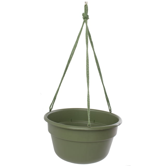 Bloem 12-in Dura Cotta Self Watering Hanging Basket Resin Planter ...