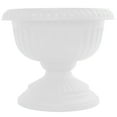 thumbnail image 1 of Bloem 12-in Grecian Urn Resin Planter - Casper White, 1 of 6
