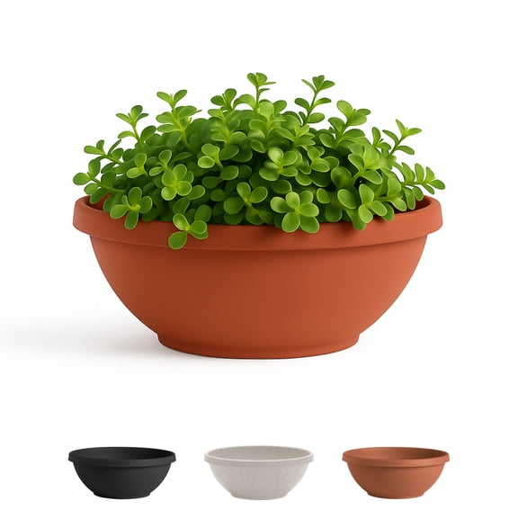 Bloem Terra 14" Diameter Round Terra Cotta Resin Planter Bowl with Knock-Out Drainage Holes for Indoor and Outdoor Gardening