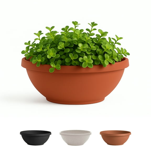 Bloem Terra 14" Diameter Round Terra Cotta Resin Planter Bowl with Knock-Out Drainage Holes for Indoor and Outdoor Gardening