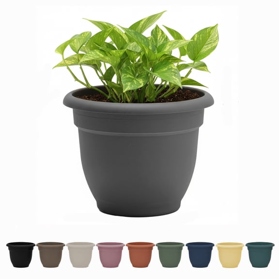 Bloem Ariana 6" Self-Watering Plastic Planter - Rolled Rim Indoor/Outdoor Garden Pot, Charcoal