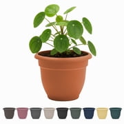 Bloem Ariana 6" Self-Watering Plastic Planter - Rolled Rim Indoor/Outdoor Garden Pot, Terra Cotta