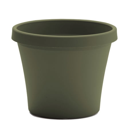 Bloem Terra 6" Plastic Planter with Drainage Holes - Indoor/Outdoor, 0.5 Gallon Capacity, Lightweight Garden Pot, Living Green