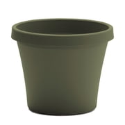Bloem Terra 6 Plastic Planter with Drainage Holes - Indoor/Outdoor, 0.5 Gallon Capacity, Lightweight Garden Pot, Living Green