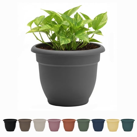 Bloem Ariana 8" Self-Watering Plastic Planter - Rolled Rim Indoor/Outdoor Garden Pot, Charcoal