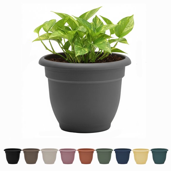 Bloem Ariana 8" Self-Watering Plastic Planter - Rolled Rim Indoor/Outdoor Garden Pot, Charcoal