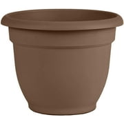 Bloem 6-in Ariana Self Watering Plastic Planter - Living Green