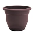 thumbnail image 1 of Bloem 8-in Ariana Self Watering Plastic Planter - Merlot Burgundy, 1 of 5
