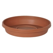 Bloem 8" Terra Round Plant Saucer, Lightweight UV-Resistant Resin Outdoor & Indoor Flower Pot Tray - Traditional Design and Durable for Garden and Home Decor - Fits 8-inch Planter Pots, Terra Cotta