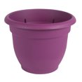 thumbnail image 1 of Bloem AP0829 Ariana Planter, Self-Watering, Passion Fruit Plastic, 8-In., 1 of 5