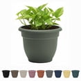 thumbnail image 1 of Bloem Ariana 8" Self-Watering Plastic Planter - Rolled Rim Indoor/Outdoor Garden Pot, Basil, 1 of 7