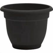 Bloem Apopka Bloem Ariana Planter - Pack of 3 Stock-Up Pack