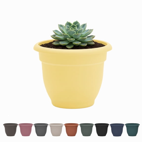 Bloem Ariana 10" Daffodil Round Self-Watering Resin Planter Pot - Rolled Rim Indoor and Outdoor Gardening Planter