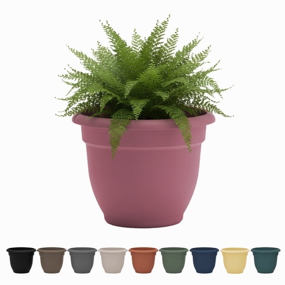 Bloem Ariana 10" Self-Watering Plastic Planter - Rolled Rim Indoor/Outdoor Garden Pot, Dusty Rose