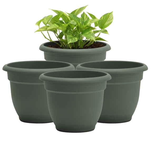 Bloem Ariana 10" Self-Watering Plastic Planter - Rolled Rim Indoor/Outdoor Garden Pot, Basil, 4-Pack