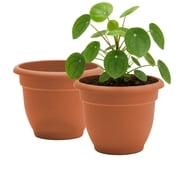 Bloem Ariana 12" Self-Watering Plastic Planter - Rolled Rim Indoor/Outdoor Garden Pot, Terra Cotta, 2-Pack
